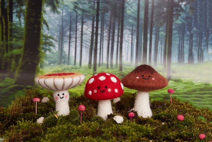 Needle Felting Kit "Toadstools Set"