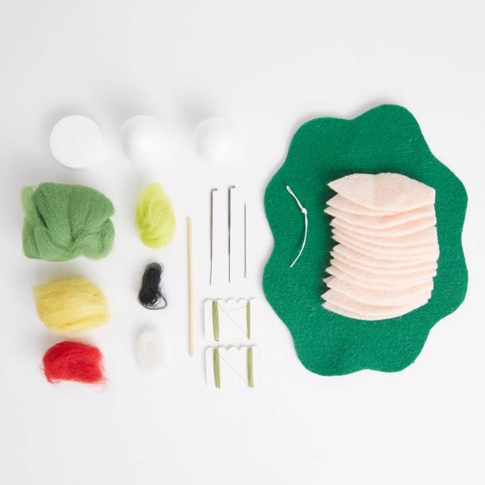 Needle Felting Kit "Frog Set"