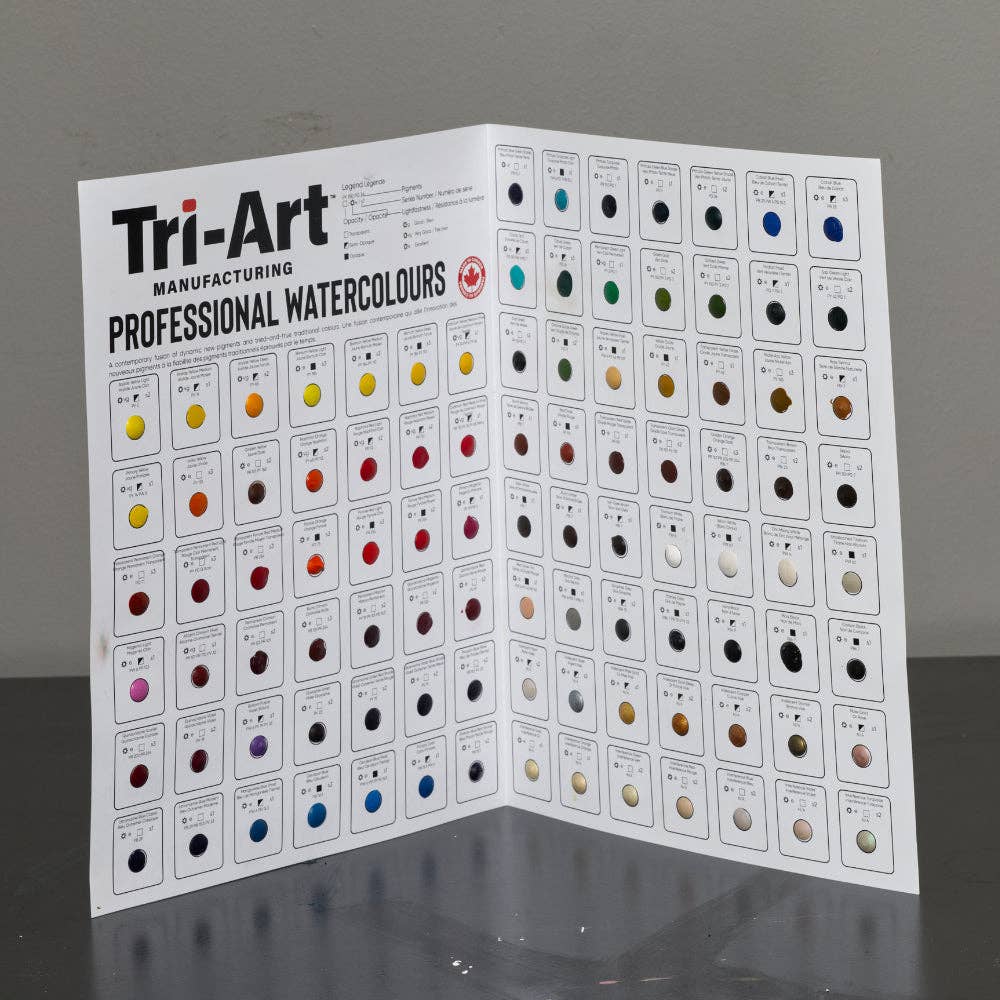 🇨🇦 Tri-Art Watercolours 98 Colour Dot Card