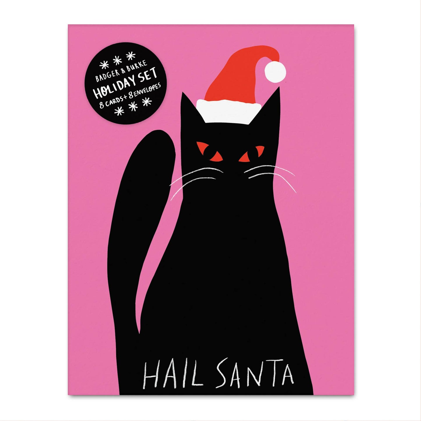π¨π¦ "Hail Santa" Holiday Greeting Card Set