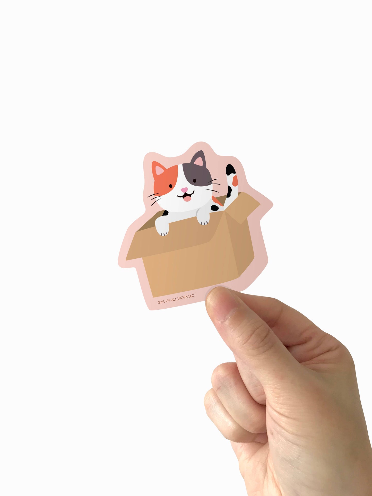 Cat in a Box Vinyl Sticker