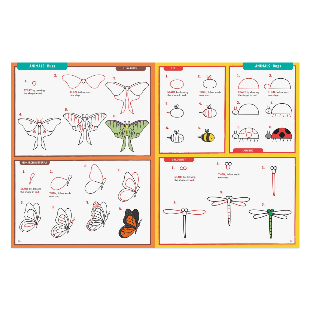 Learn to Draw. . . Everything!