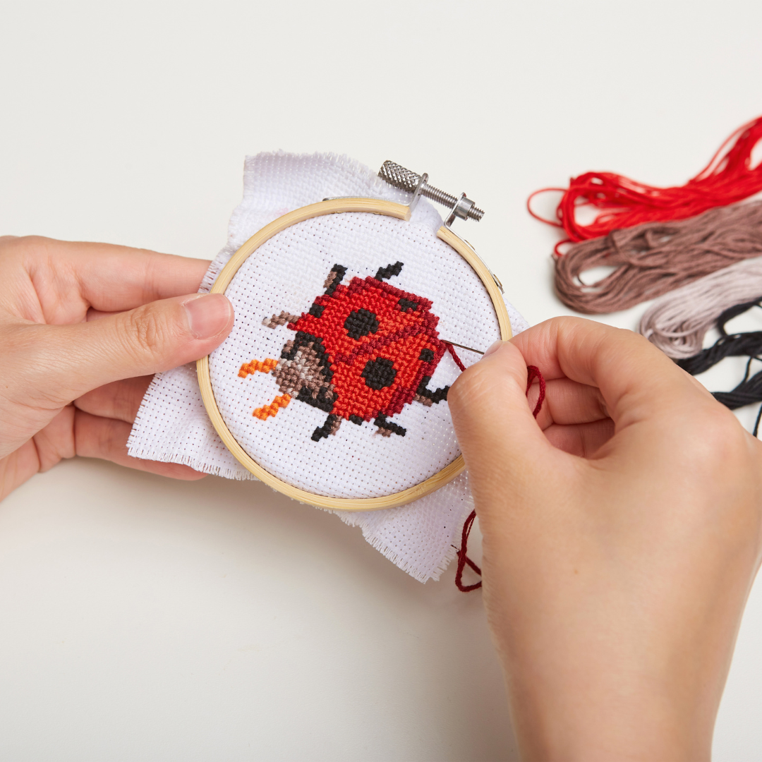 Kikkerland Mini Cross Stitch Kit - Ladybug
