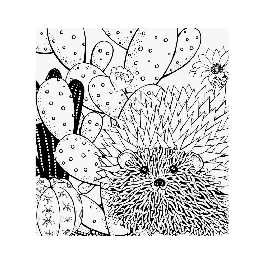 Colouring Book "Succulents"