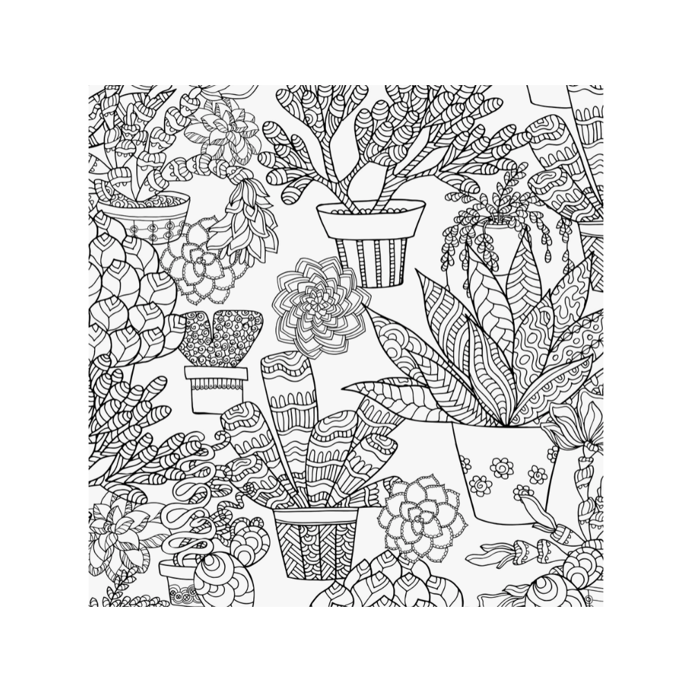 Colouring Book "Succulents"