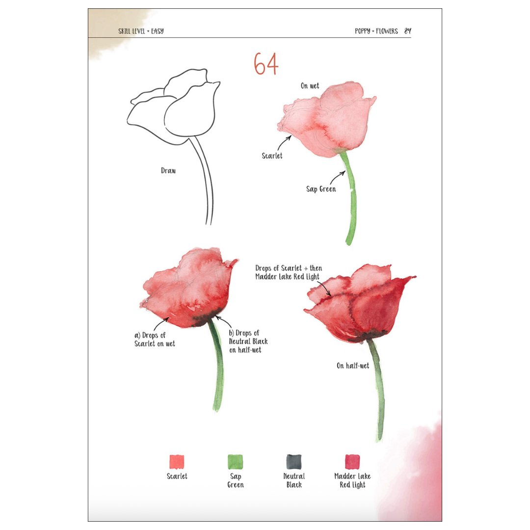 Watercolor Success in Four Steps : 150 Skill-Building Projects to Paint