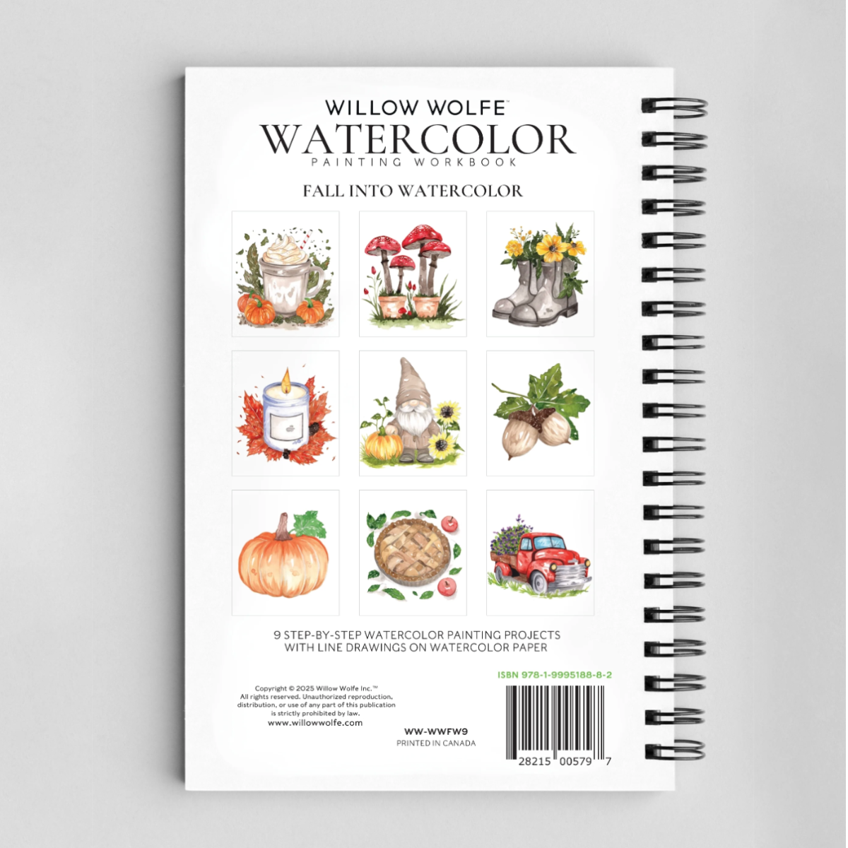 Willow Wolfe: Fall into Colour Watercolour Workbook
