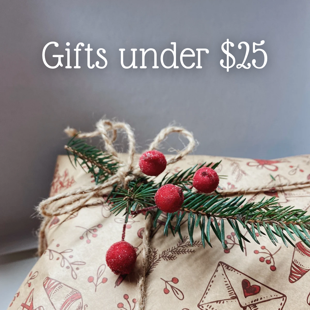 Gift Ideas Under $25