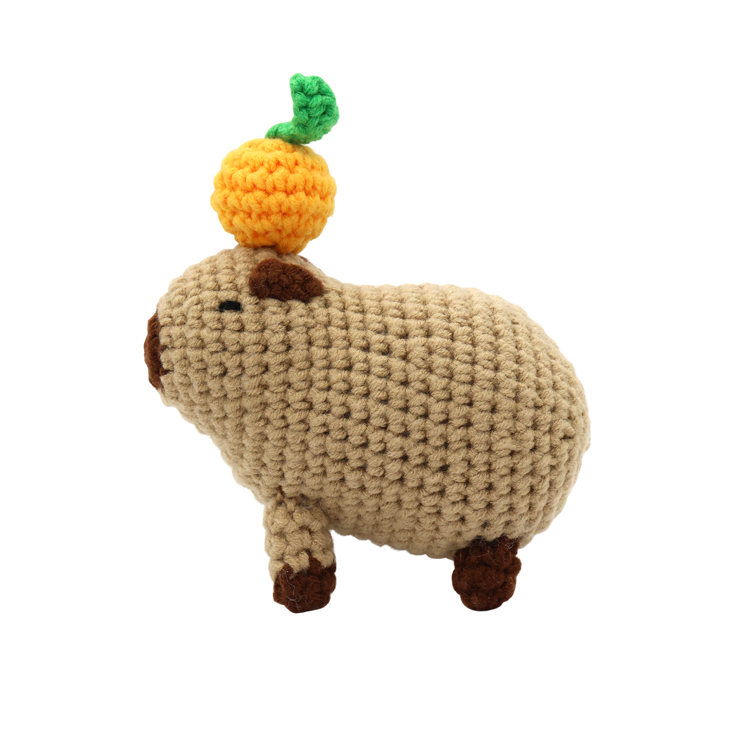 "Chill Capybara" DIY Crochet Kit