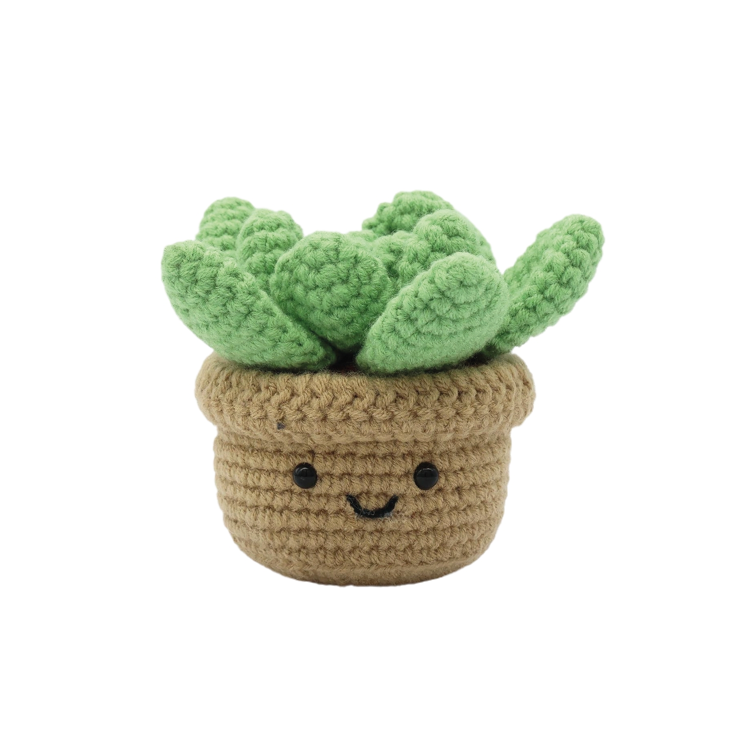 "Succulent" DIY Crochet Kit