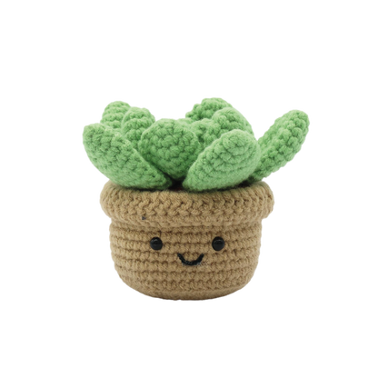 "Succulent" DIY Crochet Kit