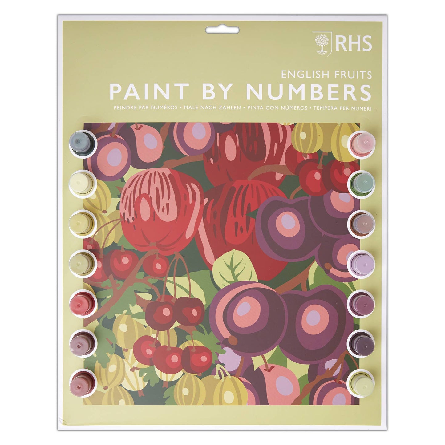 Paint By Numbers "English Fruits" 13x16"