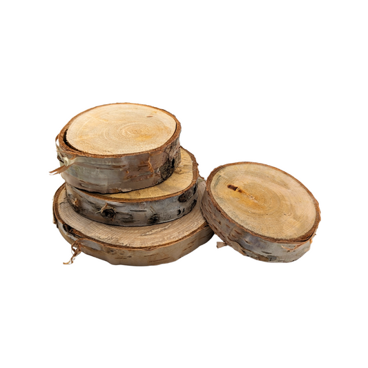 Birch Wood Slices (Various Sizes)