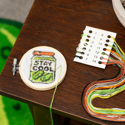 Kikkerland Mini Cross Stitch Kit - Pickle Jar