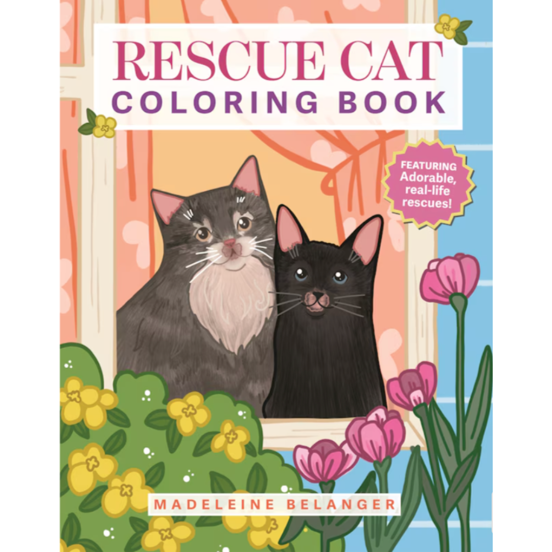 Rescue Cat Colouring Book