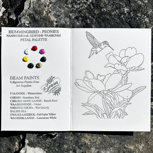 🇨🇦 Beam Watercolours Paintables - Hummingbird
