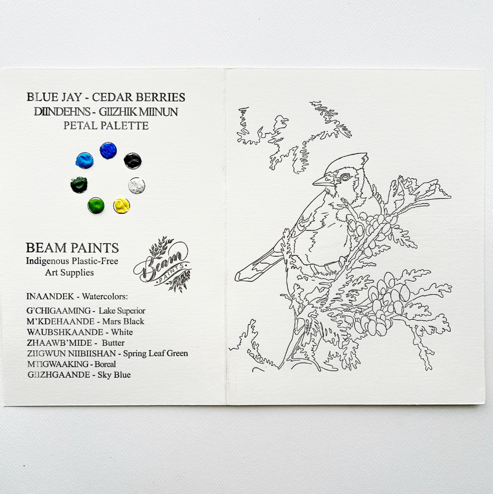 🇨🇦 Beam Watercolours Paintables - Blue Jay