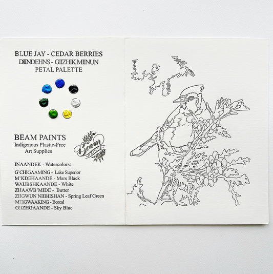 🇨🇦 Beam Watercolours Paintables - Blue Jay
