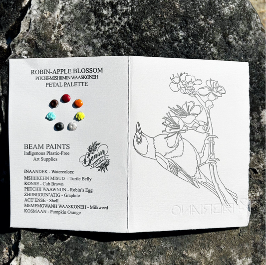 🇨🇦 Beam Watercolours Paintables - Robin