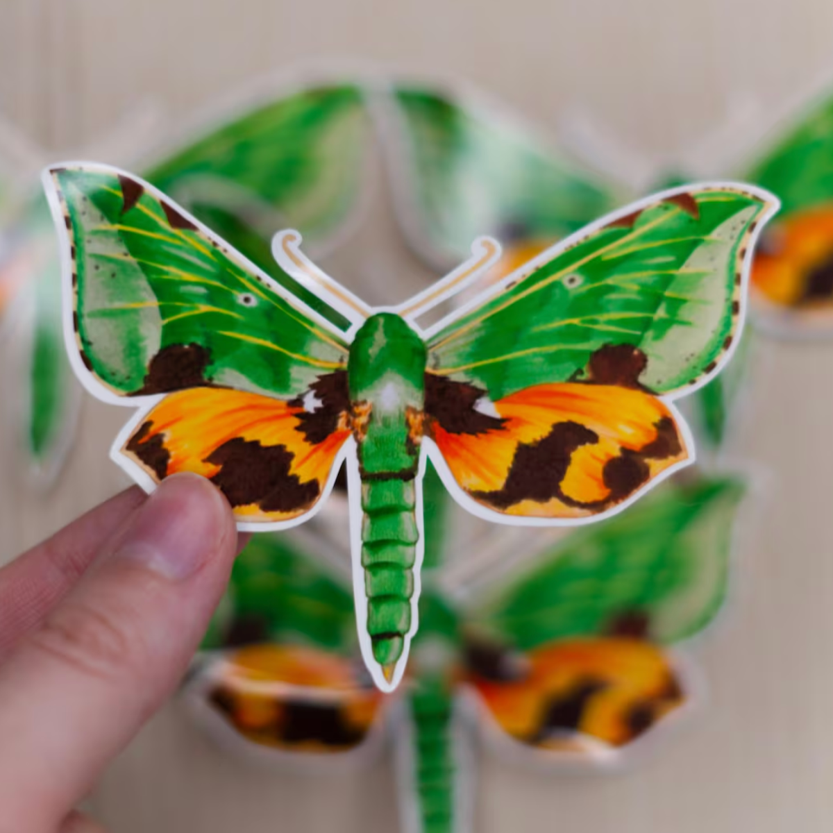 🇨🇦 "Verdant Hawk Moth" Sticker