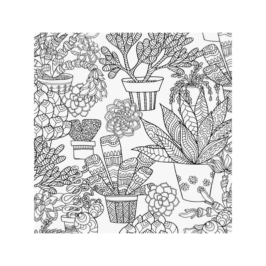 Succulents Adult Coloring Book