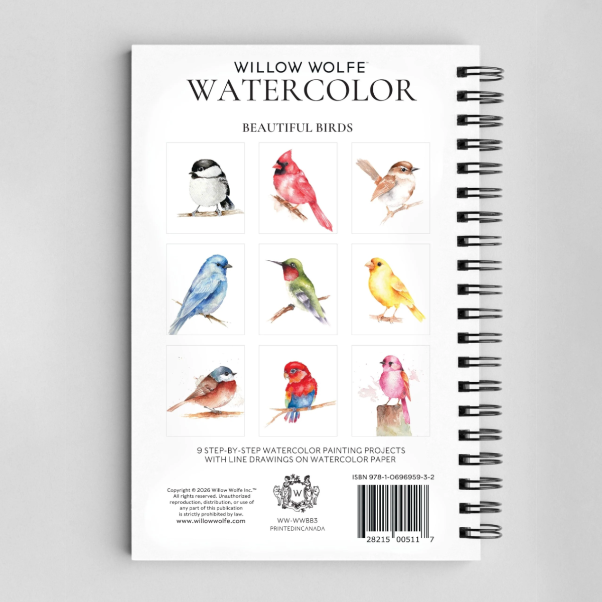 Willow Wolfe: Beautiful Birds Watercolour Workbook