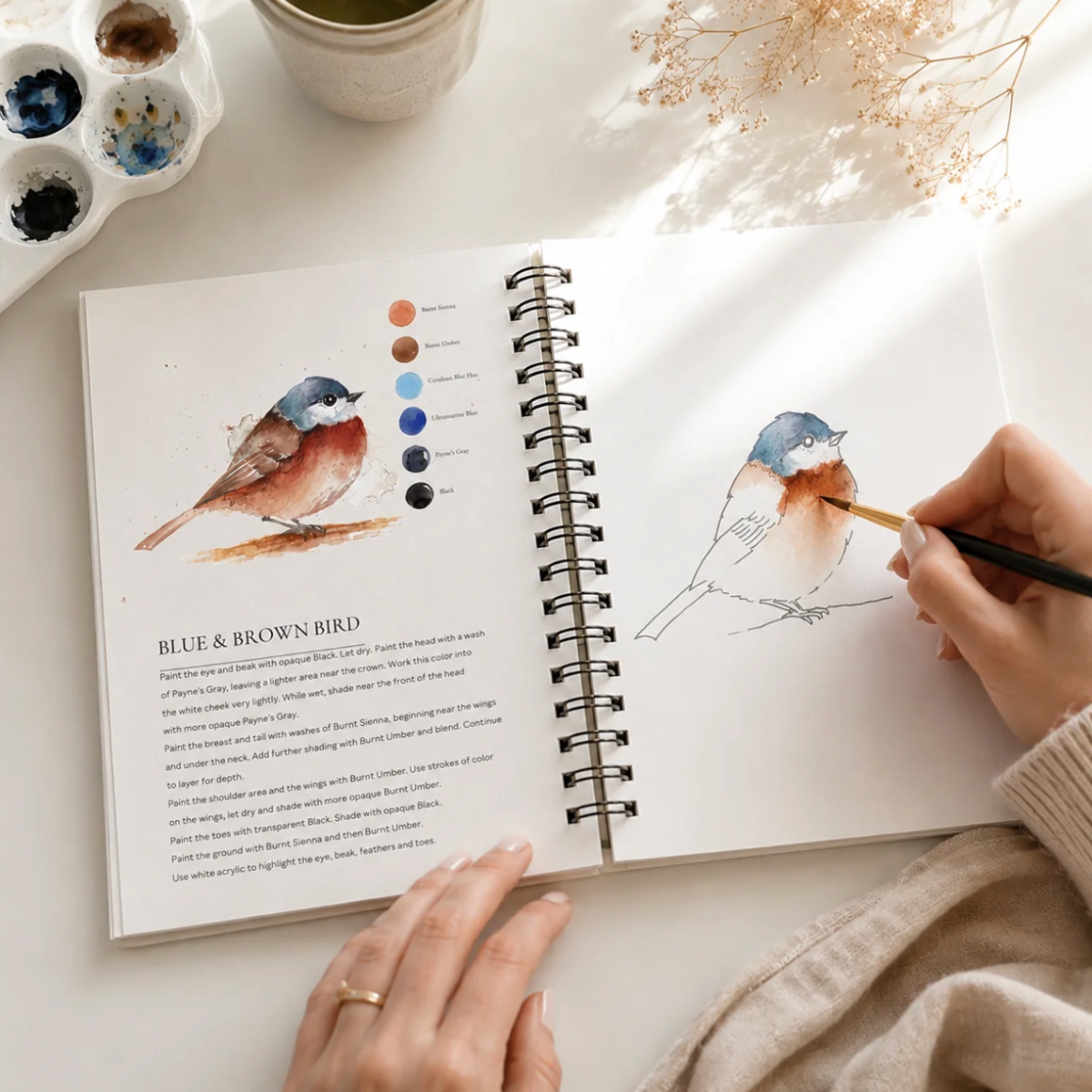 Willow Wolfe: Beautiful Birds Watercolour Workbook
