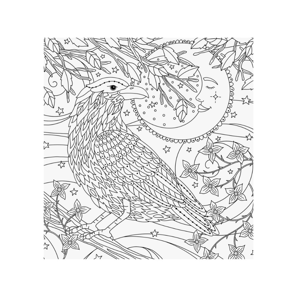 Colouring Book "Witchcraft & Wonder"