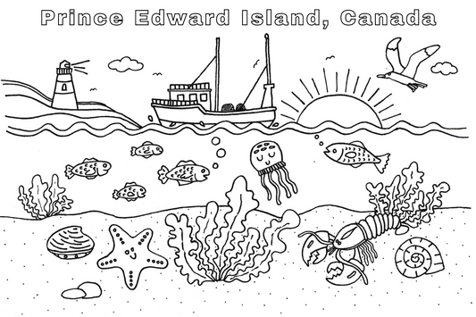 Colour Your Own Post Cards