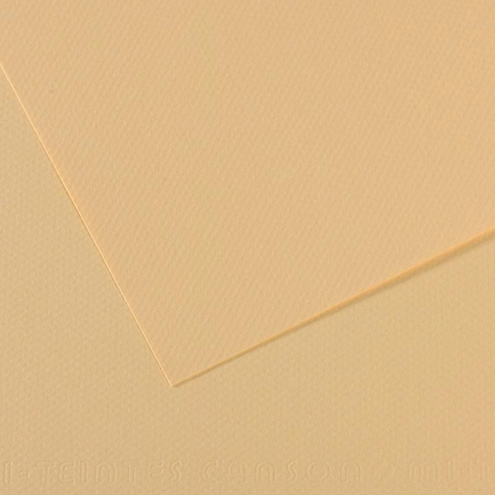 Canson Mi-Teintes Paper 8.5x11" 98lb