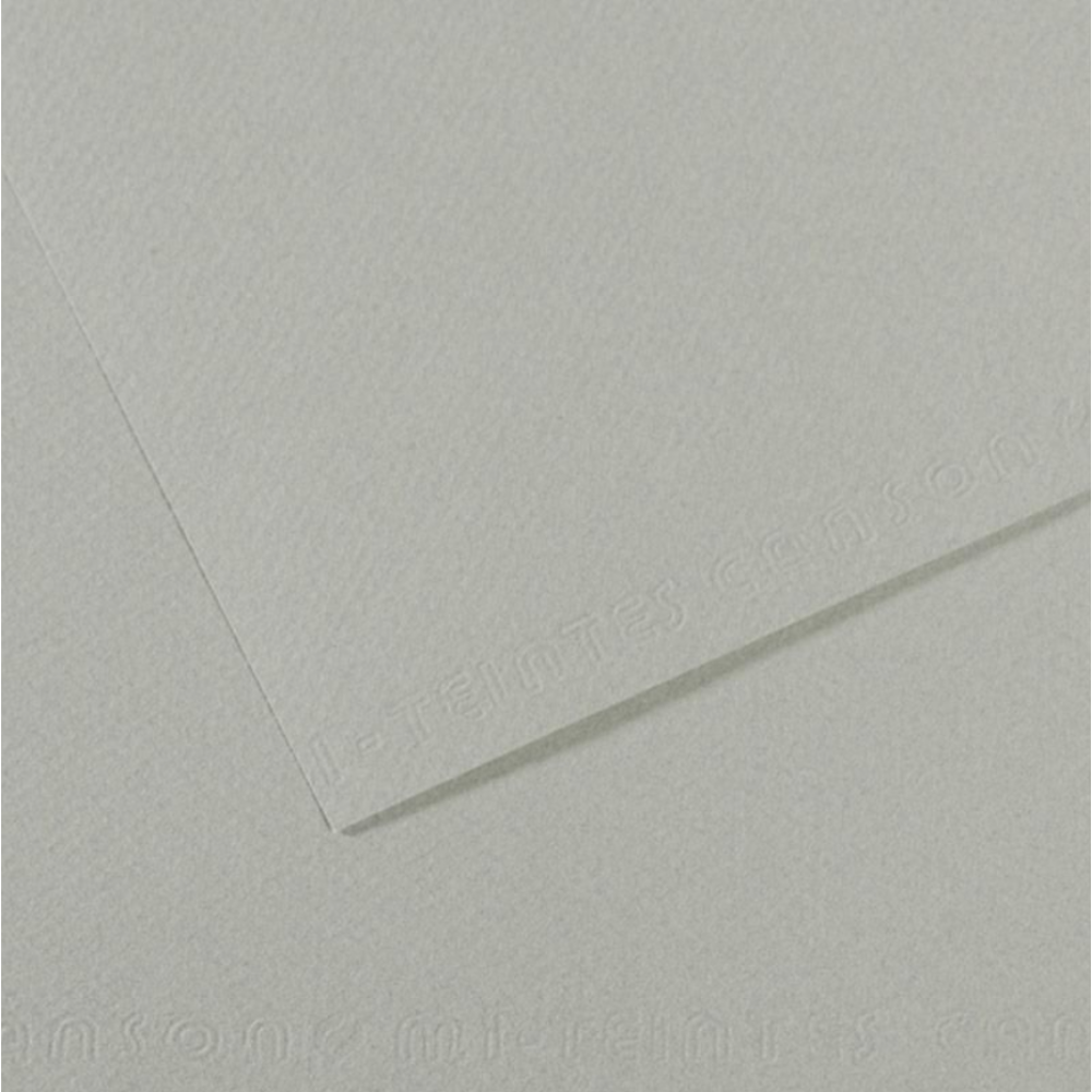 Canson Mi-Teintes Paper 8.5x11" 98lb